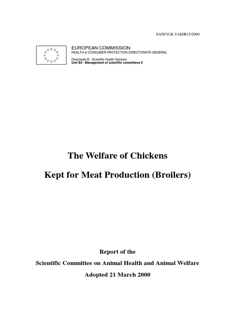 Broiler Chicken Welfare Report 2000 | PDF | Broiler | Animal Welfare