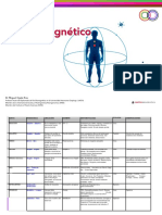 Biomagnetismo Lista+de+pares+par.pdf