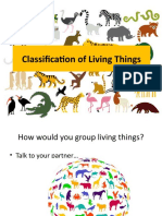 KS2 Classification of Living Things Main Presentation