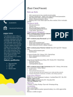 Constrution CV PDF