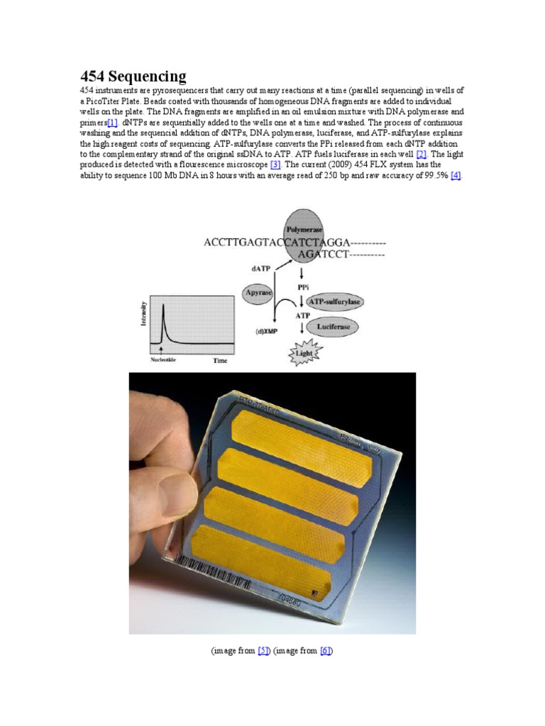 DNA Sequencing Technologies Overview | PDF | Dna Sequencing | Organic Acids