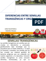 Semillas Transgenicas y Organicas