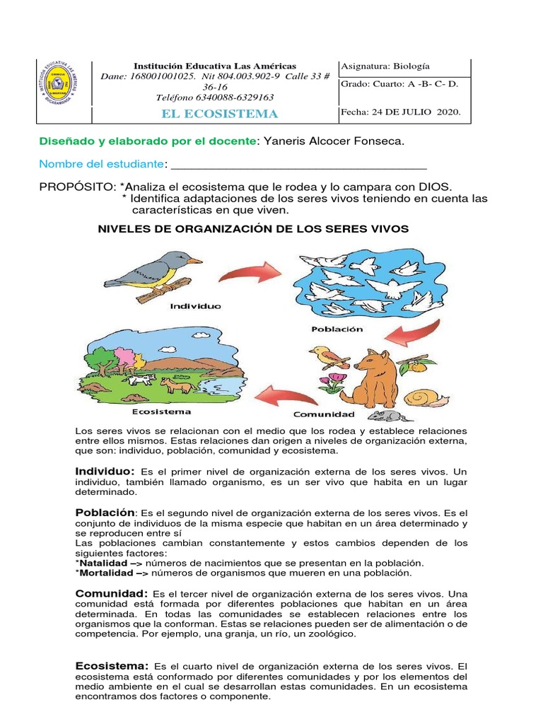 Actividades sobre Ecosistemas para Primaria | PDF | Ecosistema | Organismos