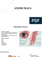 PPT Referat Anatomi Mata