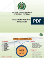 Proceso Unico de Policia