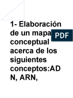 1-Elaboración de Un Mapa Conceptual Acerca de Los Siguientes conceptos:AD N, Arn