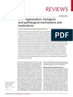 Reviews: Liver Regeneration: Biological and Pathological Mechanisms and Implications