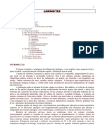 seminario_17.pdf