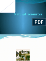 Natural Resources