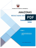 Resultados Definitivos de la Población Económicamente Activa 2017 Amazonas 01