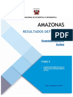 Resultados Definitivos de La Población Económicamente Activa 2017 Amazonas 02