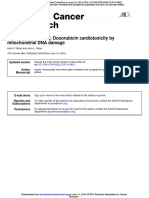 Mitochondrial DNA Damage Twisting and Ironing: Doxorubicin Cardiotoxicity by