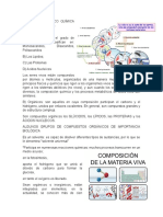 COMPOSICIÓN FISICO QUÍMICA DE LA MATERIA VIVA