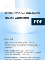 Sist Otot Dan Integumen-Final