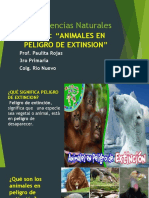 Animales en peligro de extinción en Bolivia