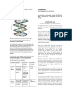 GUIA para 9 2 Semestre PDF