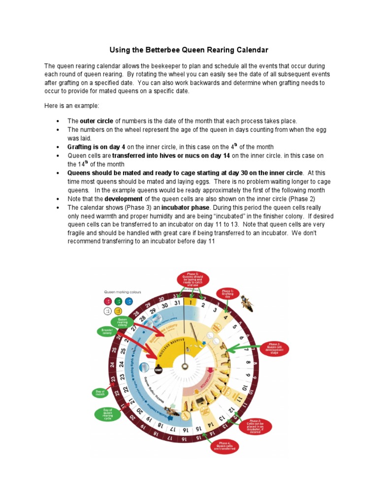Queen Rearing Calendar Wheel Pdf – RZBGCL