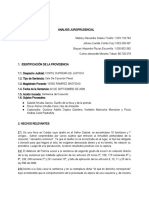 Analisis Jurisprudencial Delitos 2020