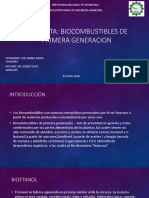 MAQUETA de BIOCOMBUSTIBLES PDF