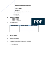 Esquema de Programa de Intervencion