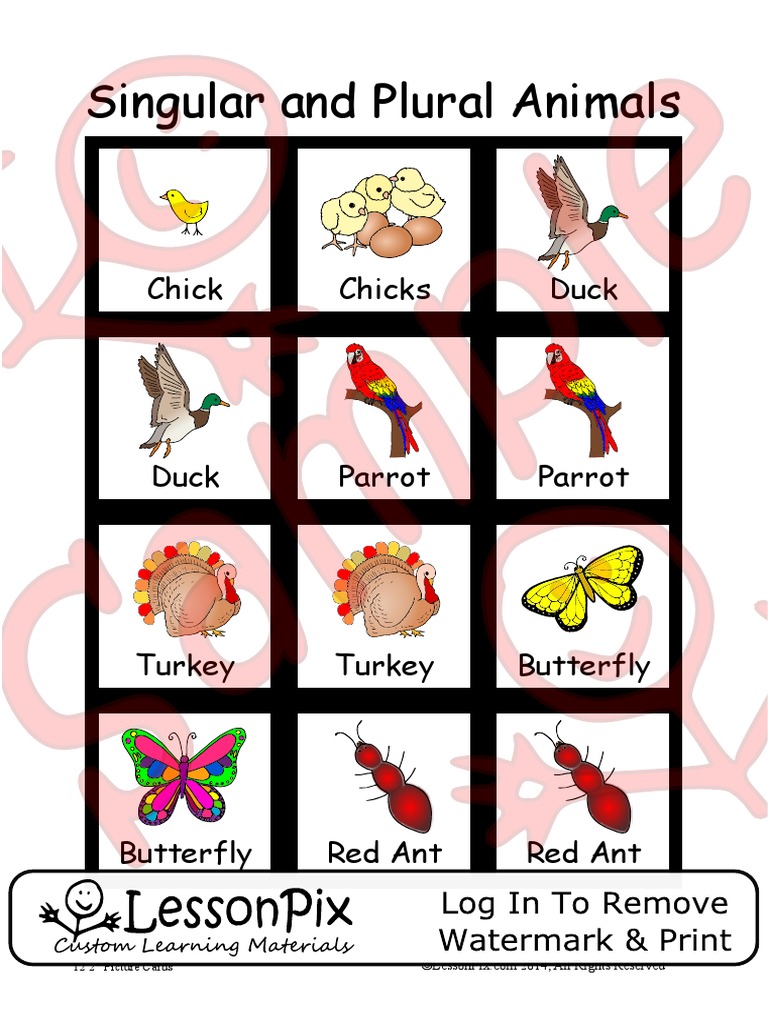 Singular and Plural Animals Chick Chicks Duck PDF