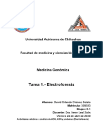 Tarea 1. - Electroforesis