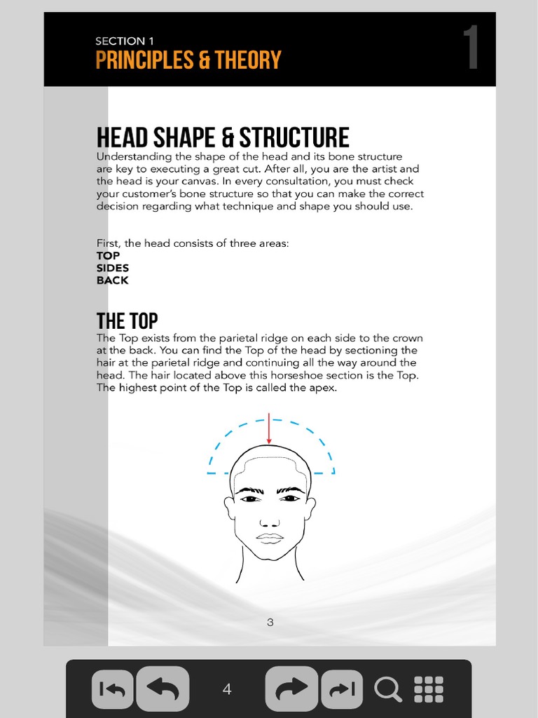Clipper Cutting 101 Spanish Andis PDF