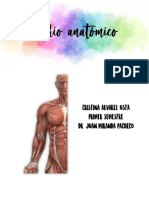 Diario Anatomico PDF