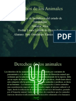 Derechos de los Animales