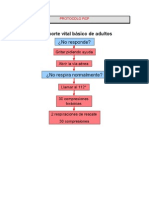 Protocolo RCP