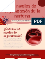 Los Niveles de Organización de La Materia PDF