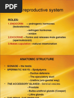 Lista Produse Distribuitori  PDF  Pharmacology  World Health 