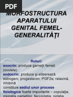 Fragment Din Critica Ratiunii Pure