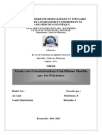 Bitumes Modifiés PDF