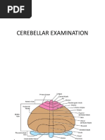 Cerebellar Exam Tests
