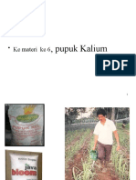 OPTIMASI PUPUK SULFUR