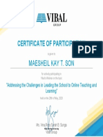 Certificate of Participation: Maesheil Kay T. Son