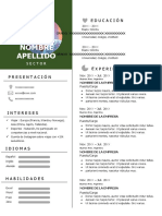 87 Curriculum Vitae Bien Hecho