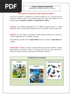 Blog De Tercero Los Animales Segn Su Hbitat