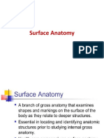 Review of Surface Gross Anatomy