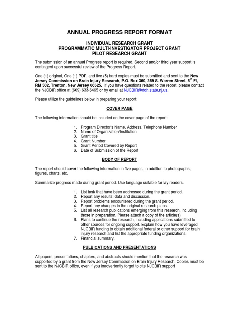 Annual Progress Report Format PDF Business