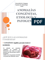 Anomalías Congénitas, Etiología y Patogenia