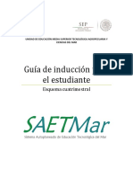 Guía de inducción SAETMar.pdf