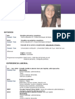 CV Actualizado