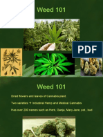 Weed 101