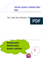 267833_Metabolisme asam nukleat dan nukleotida