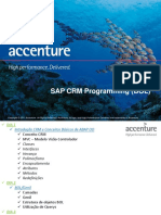 223881392-SAP-CRM-Programming