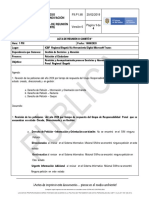 Acta Responsabilidad Penal Junio2020 PDF