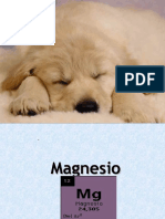 magnesio (1).ppt