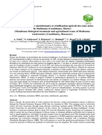 Membrana biológico tratamiento y reutilización agrícola de las aguas residuales de Mediouna.pdf
